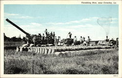 Threshing Rice Crowley, LA Postcard Postcard