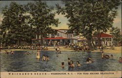 Whichard's Beach, For Year Around Relaxation Postcard