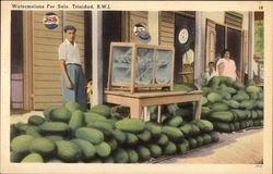 Watermelons for Sale Trinidad Caribbean Islands Postcard Postcard