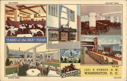 O'Donnell's Sea Grill Postcard