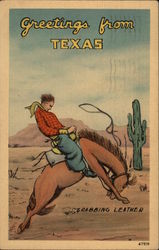 Greetings From Texas Cowboy Western Postcard Postcard