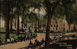 Lincoln Park Postcard