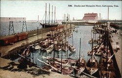 Docks and Mosquito Fleet Postcard