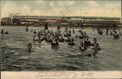 Bathing at the Beach Galveston, TX Postcard Postcard