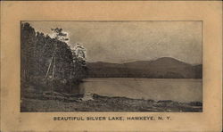 Silver Lake Hawkeye, NY Postcard Postcard