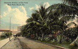 Clematis Avenue at City Park Postcard