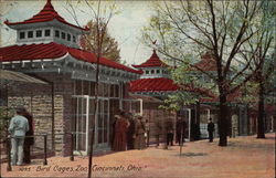 Bird Cages Zoo Cincinnati, OH Postcard Postcard