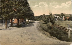 Country Lane View Postcard