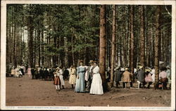 Band Concert, Barber Park Bellows Falls, VT Postcard Postcard