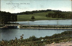 Fountain Street Bridge Postcard