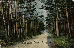 Five Mile Drive Postcard