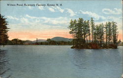 Wilson Pond, Swanzey Factory Keene, NH Postcard Postcard