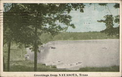 Greetings from Navasota, Texas Postcard Postcard