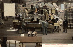 California Orange Packing House Postcard