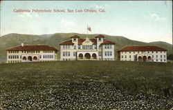 California Polytechnic School San Luis Obispo, CA Postcard Postcard