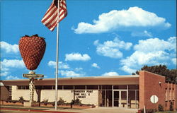 Home of the World's Largest Strawberry Strawberry Point, IA Postcard Postcard