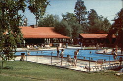 Jellystone Park, Camp-Resort Camping Postcard Postcard