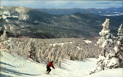 Sugarloaf Mountain - Skiers Paradise Skiing Postcard Postcard