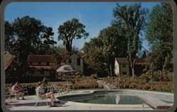 The Opinicon - Private Swimming Pool Postcard