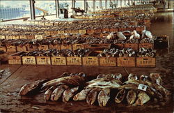 Fish Market Postcard