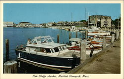 Oak Bluffs Harbor Postcard