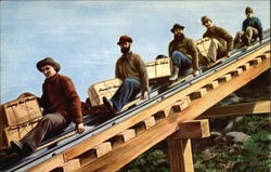 Historic Picture of 5 Hardy Workmen Mount Washington, NH Postcard Postcard