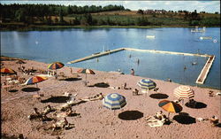 Swimming at Katy's Cove Postcard