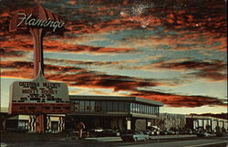 Hotel Flamingo Las Vegas, NV Postcard Postcard