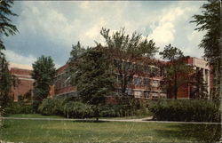 Frederick Cowles Jenison Gymnasium and Field House - Michigan State University Postcard