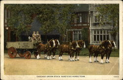 Chicago Union Stock Yard's Six Horse Team Illinois Postcard Postcard