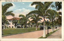 The Prado, Balboa, CZ Panama Postcard Postcard