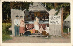 Abenakie Indians, White Mts., N.H Native Americana Postcard Postcard