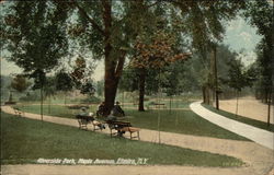 Riverside Park - Maple Avenue Elmira, NY Postcard Postcard