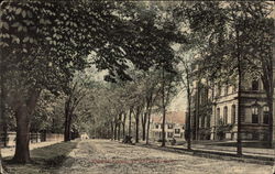 Street Scene Pittsfield, MA Postcard Postcard