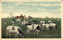 The Model Dairy in The Chocolate Town Postcard