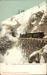 Tunnel on the White Pass & Yukon Railroad Alaska Postcard Postcard