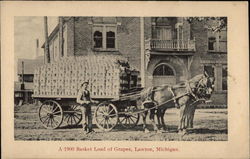 A 1900 Basket Load of Grapes Lawton, MI Postcard Postcard