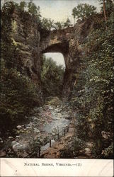 View of The Natural Bridge Virginia Postcard Postcard