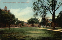 Yale College Campus New Haven, CT Postcard Postcard