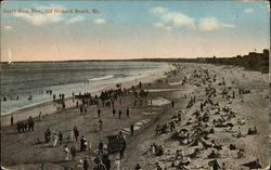 South from Pier Postcard