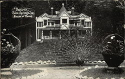 Peacock, Eden Springs Zoo, House of David Benton Harbor, MI Postcard Postcard