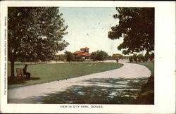 View in City Park Postcard