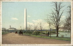 The Boulevard, Potomac Park Postcard