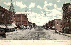 Commercial Avenue Postcard