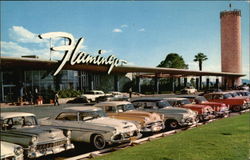 Flamingo Hotel Postcard