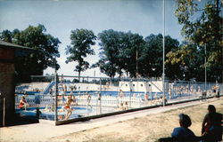 Muscatine Swimming Pool in Weed Park Iowa Postcard Postcard