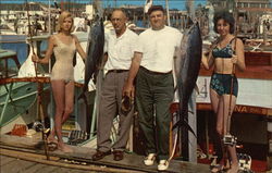 Sport Tuna Fishing, Cape May Marina Postcard