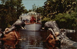 Jungle Cruise Anaheim, CA Postcard Postcard