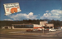 The World's Finest Cheddar Cheese Tillamook, OR Postcard Postcard