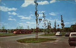 View on Goat Island Postcard